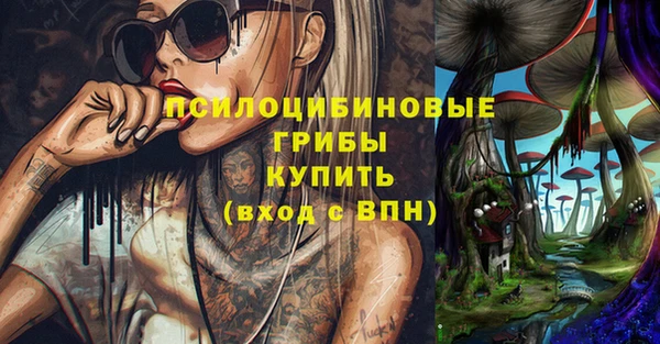 твердый Белокуриха