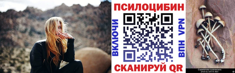 Галлюциногенные грибы Psilocybe купить Оха